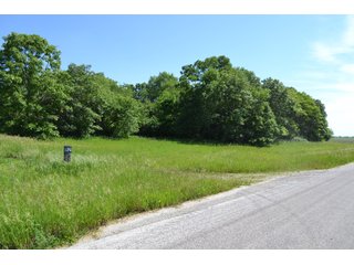 Property photo 5 - 156.9+/- Acres For Sale - Cropland, Woods for Hunting/Recreational & Potential Building Sites